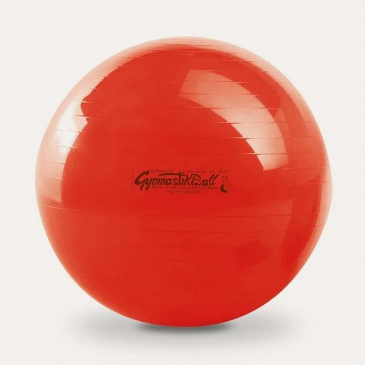 Gymnastik lopta Pezzi 75 cm Cijena